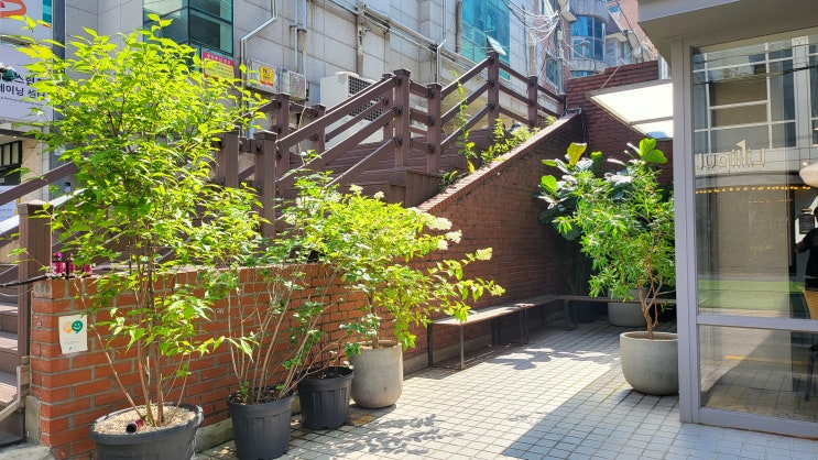 청담동 브런치 오아시스 청담점 매장 외관·주변·내부 공간 관련 이미지 09