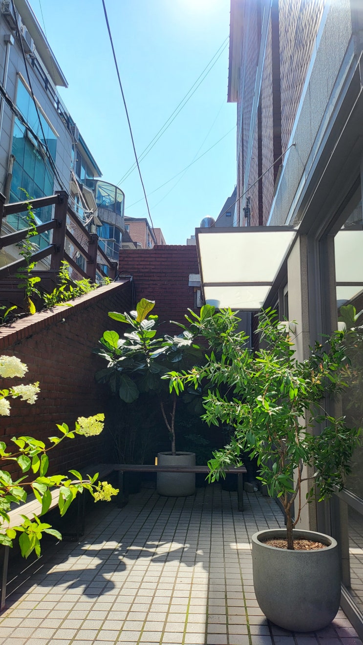 청담동 브런치 오아시스 청담점 매장 외관·주변·내부 공간 관련 이미지 10